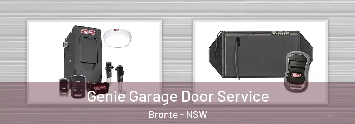  Genie Garage Door Service Bronte - NSW