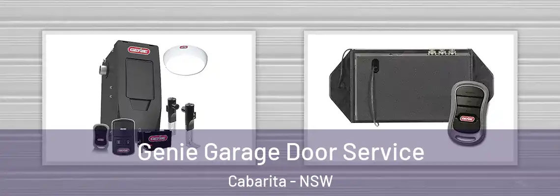  Genie Garage Door Service Cabarita - NSW