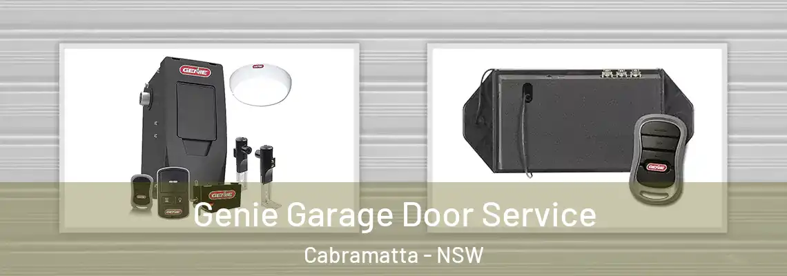  Genie Garage Door Service Cabramatta - NSW
