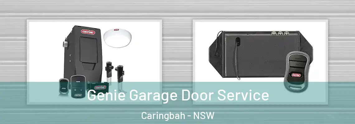  Genie Garage Door Service Caringbah - NSW