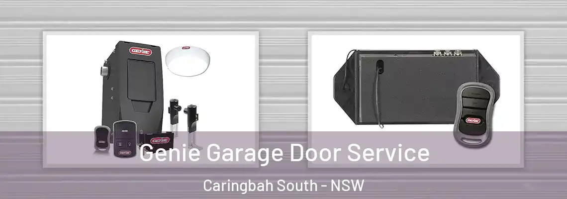  Genie Garage Door Service Caringbah South - NSW