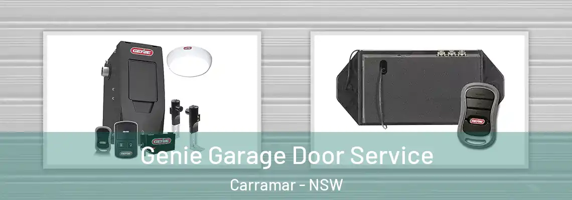  Genie Garage Door Service Carramar - NSW