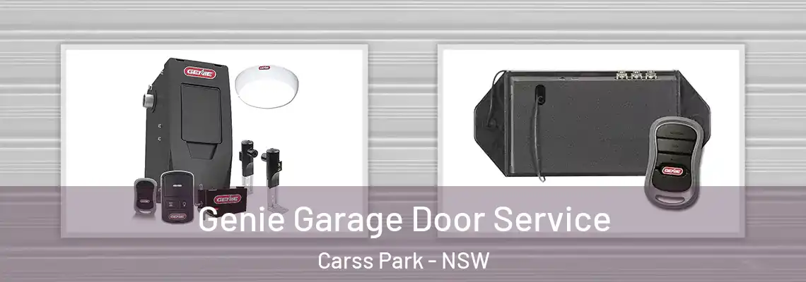  Genie Garage Door Service Carss Park - NSW