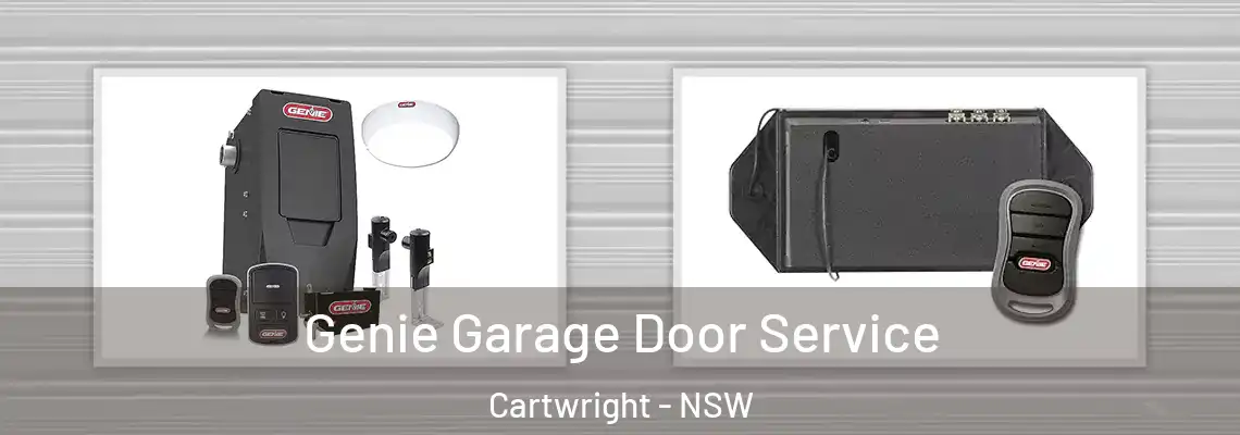  Genie Garage Door Service Cartwright - NSW