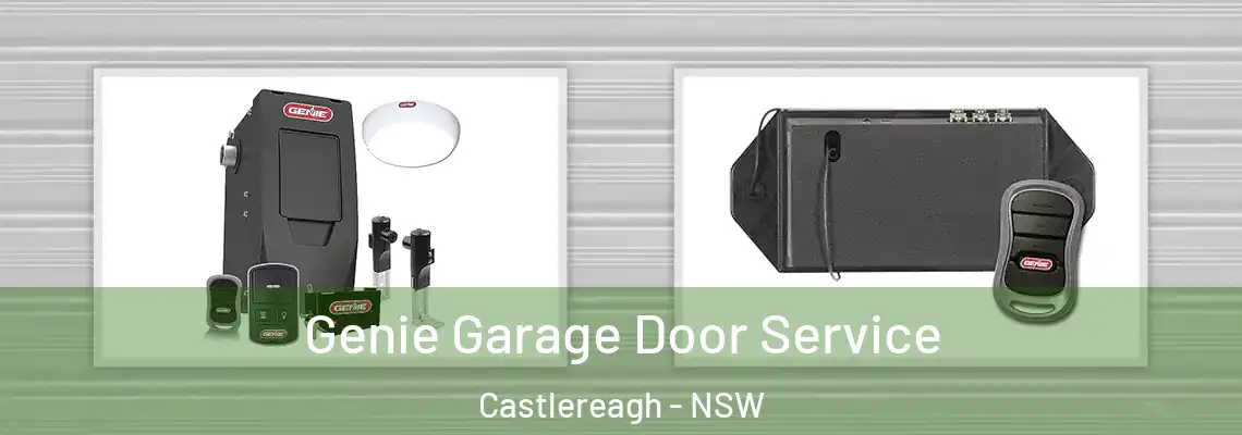  Genie Garage Door Service Castlereagh - NSW
