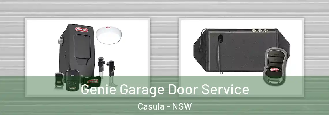  Genie Garage Door Service Casula - NSW