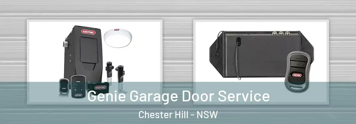  Genie Garage Door Service Chester Hill - NSW