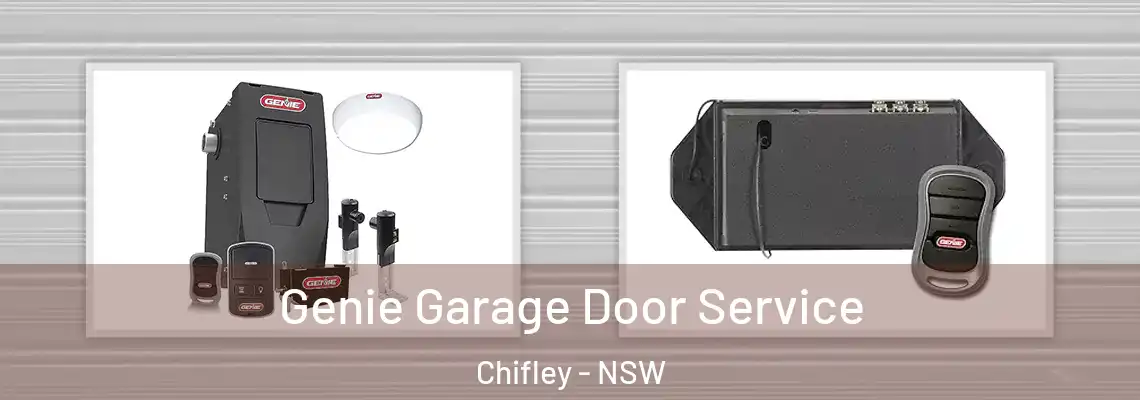  Genie Garage Door Service Chifley - NSW