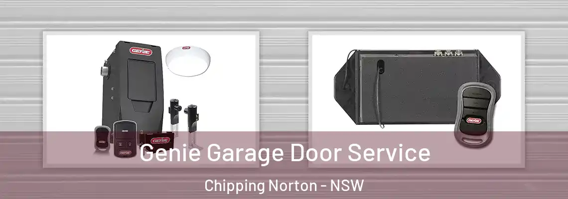  Genie Garage Door Service Chipping Norton - NSW