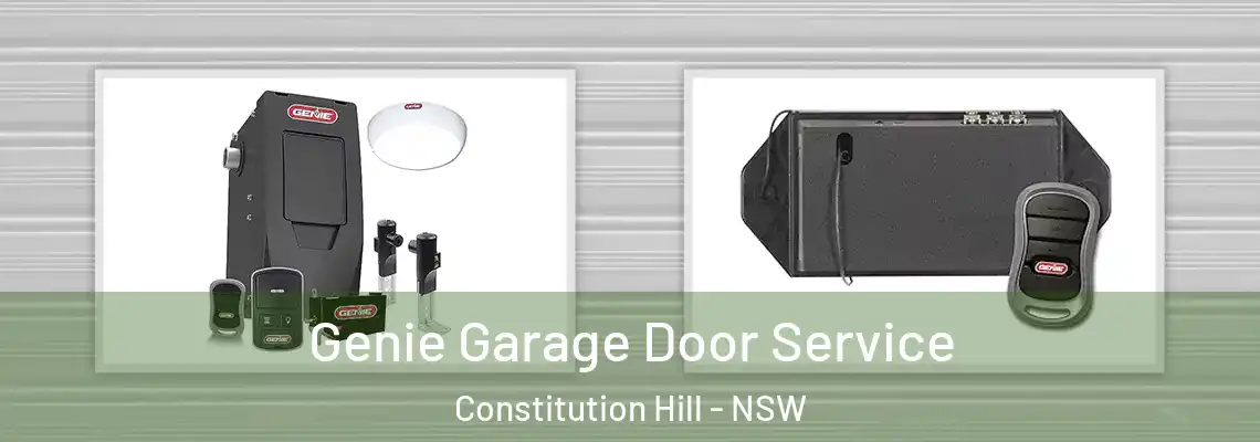  Genie Garage Door Service Constitution Hill - NSW