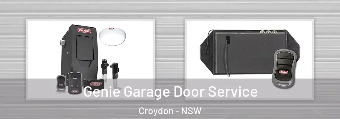  Genie Garage Door Service Croydon - NSW