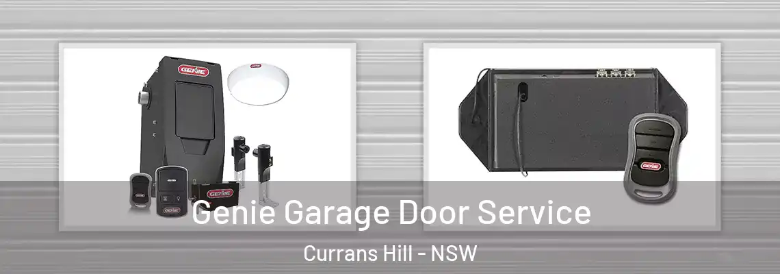  Genie Garage Door Service Currans Hill - NSW