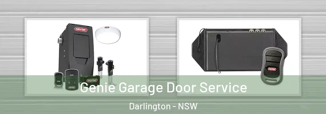  Genie Garage Door Service Darlington - NSW
