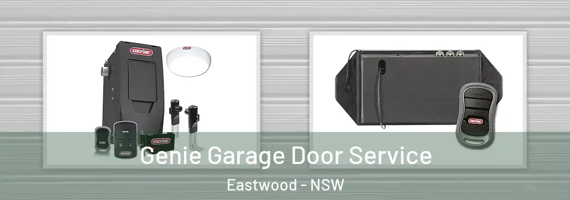 Genie Garage Door Service Eastwood - NSW