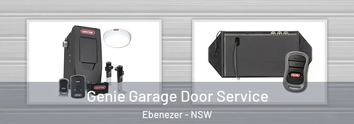  Genie Garage Door Service Ebenezer - NSW