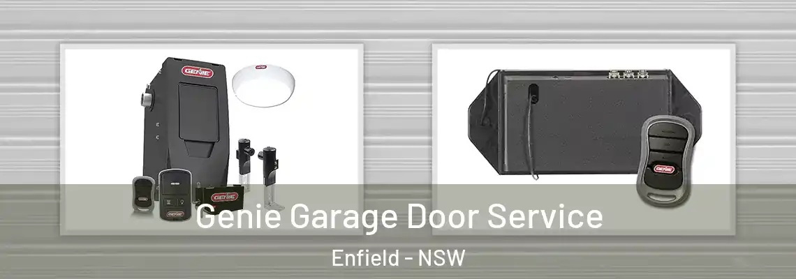  Genie Garage Door Service Enfield - NSW