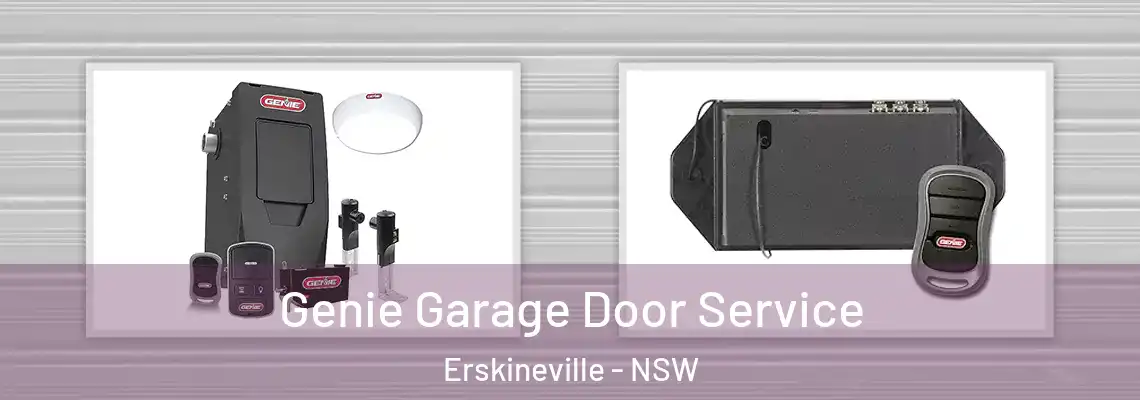  Genie Garage Door Service Erskineville - NSW