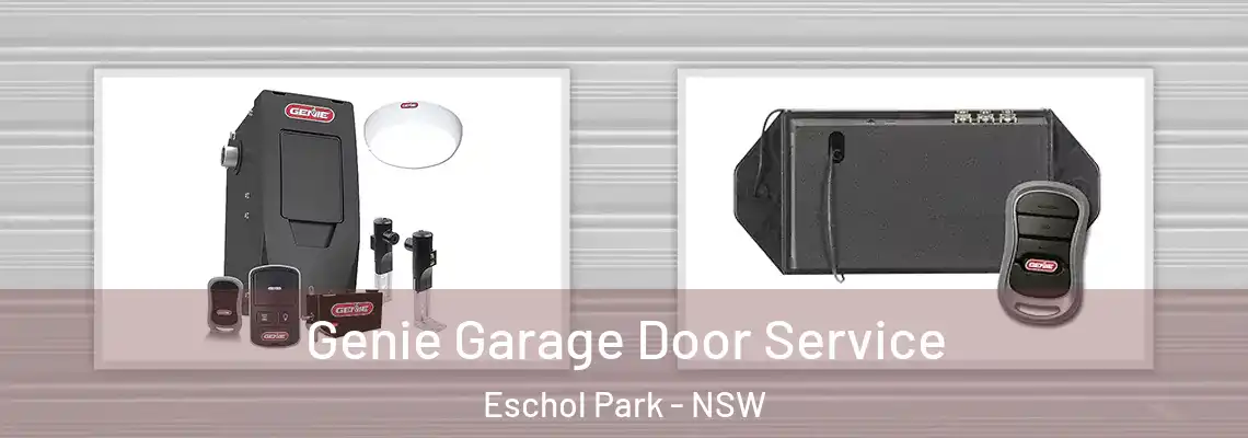  Genie Garage Door Service Eschol Park - NSW