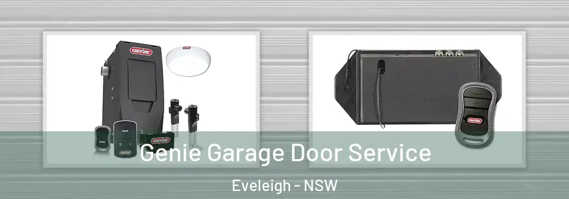  Genie Garage Door Service Eveleigh - NSW