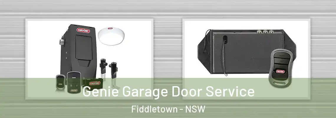 Genie Garage Door Service Fiddletown - NSW
