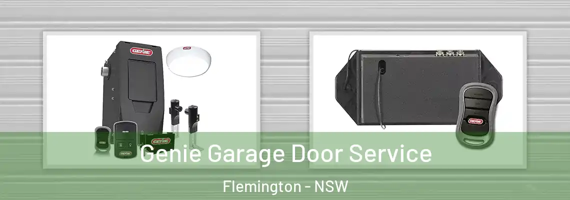  Genie Garage Door Service Flemington - NSW