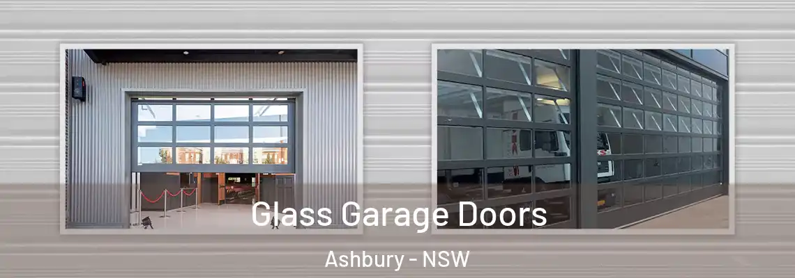  Glass Garage Doors Ashbury - NSW