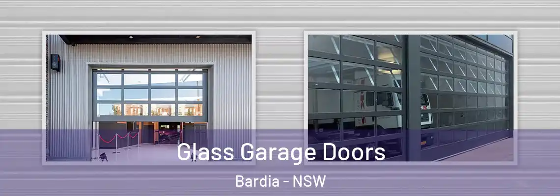 Glass Garage Doors Bardia - NSW