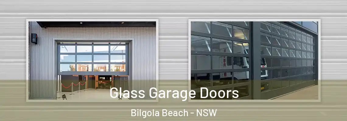  Glass Garage Doors Bilgola Beach - NSW