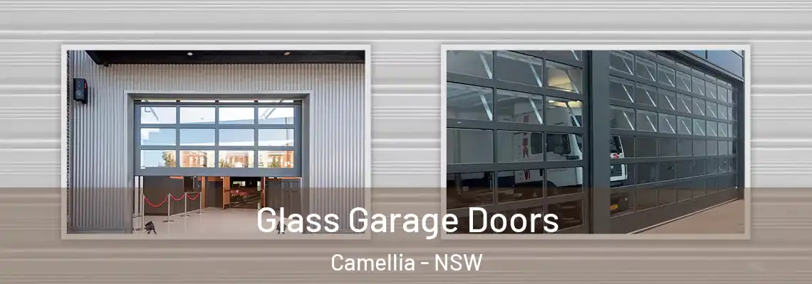  Glass Garage Doors Camellia - NSW