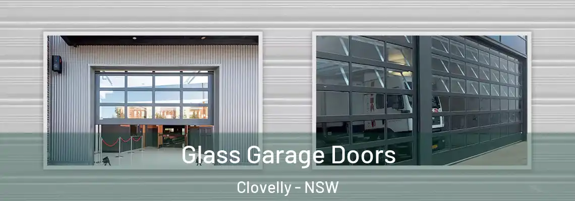  Glass Garage Doors Clovelly - NSW