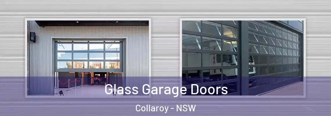  Glass Garage Doors Collaroy - NSW