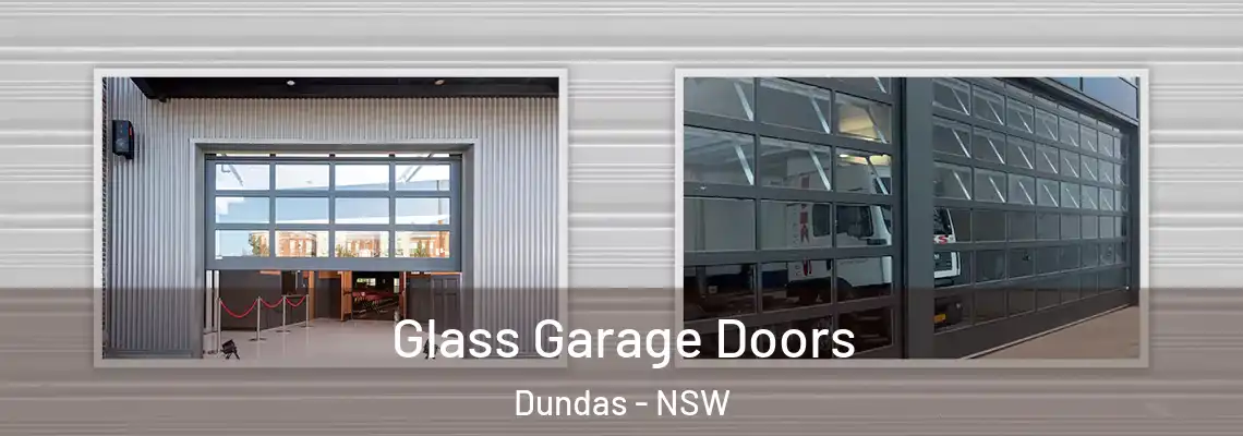  Glass Garage Doors Dundas - NSW
