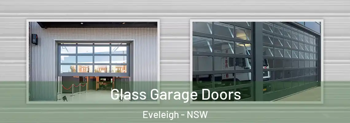  Glass Garage Doors Eveleigh - NSW