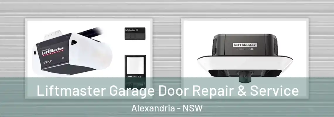  Liftmaster Garage Door Repair & Service Alexandria - NSW
