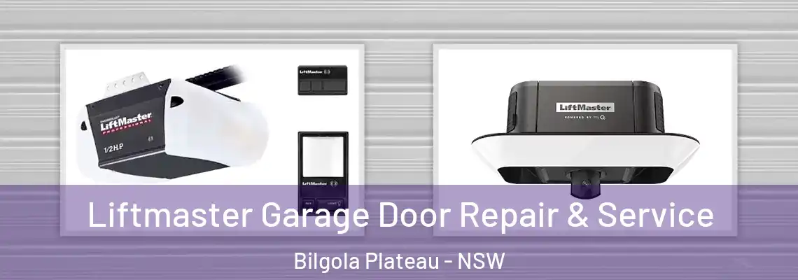  Liftmaster Garage Door Repair & Service Bilgola Plateau - NSW
