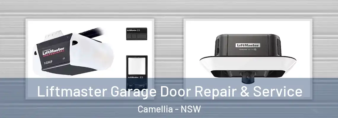  Liftmaster Garage Door Repair & Service Camellia - NSW