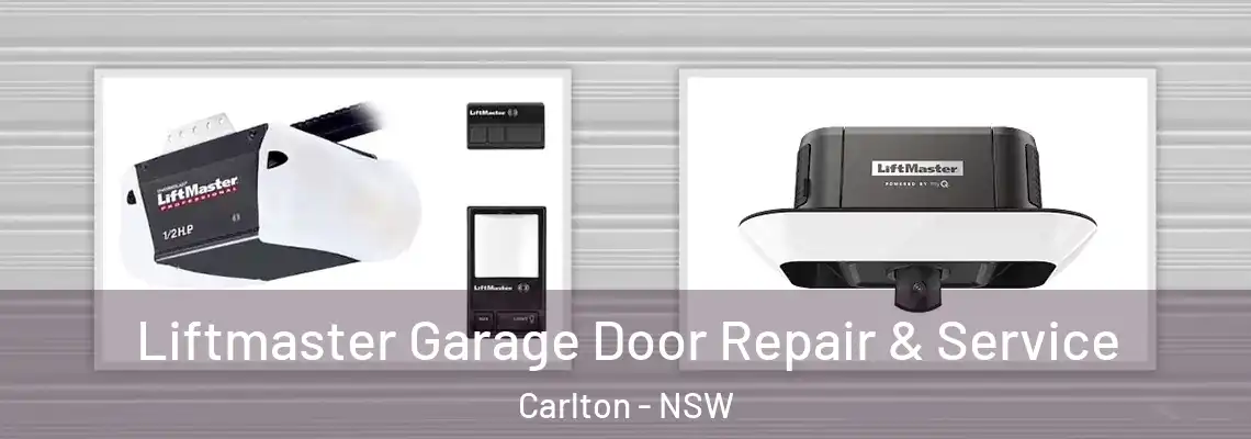  Liftmaster Garage Door Repair & Service Carlton - NSW