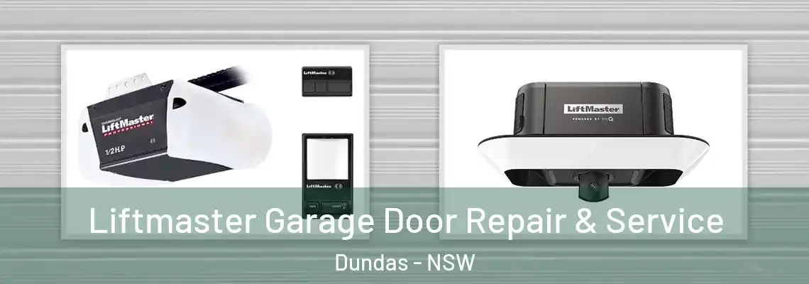  Liftmaster Garage Door Repair & Service Dundas - NSW