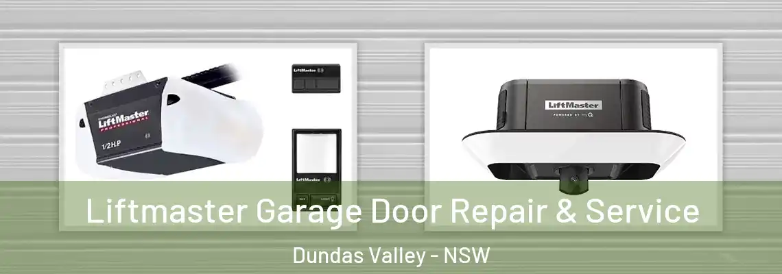  Liftmaster Garage Door Repair & Service Dundas Valley - NSW