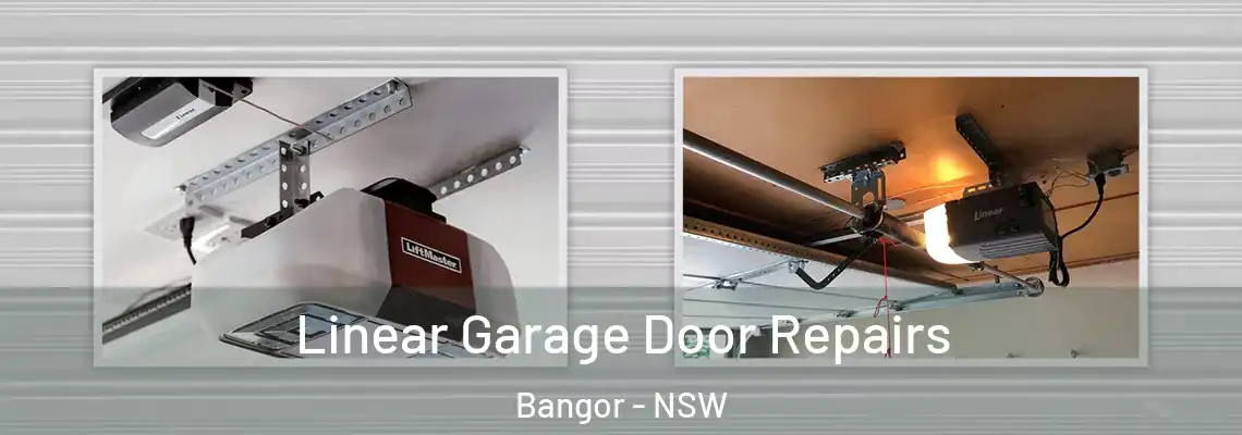  Linear Garage Door Repairs Bangor - NSW