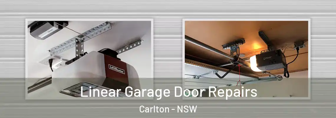  Linear Garage Door Repairs Carlton - NSW