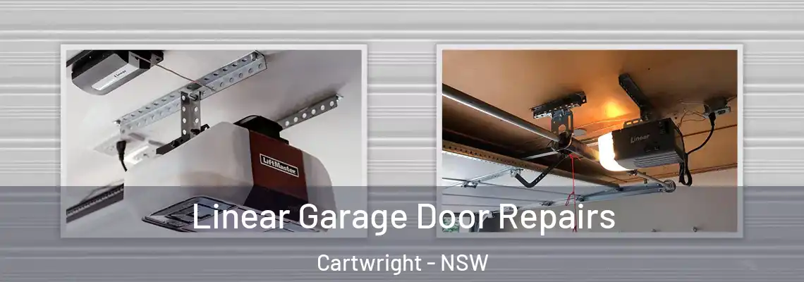  Linear Garage Door Repairs Cartwright - NSW