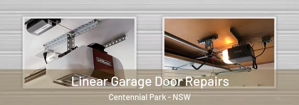  Linear Garage Door Repairs Centennial Park - NSW