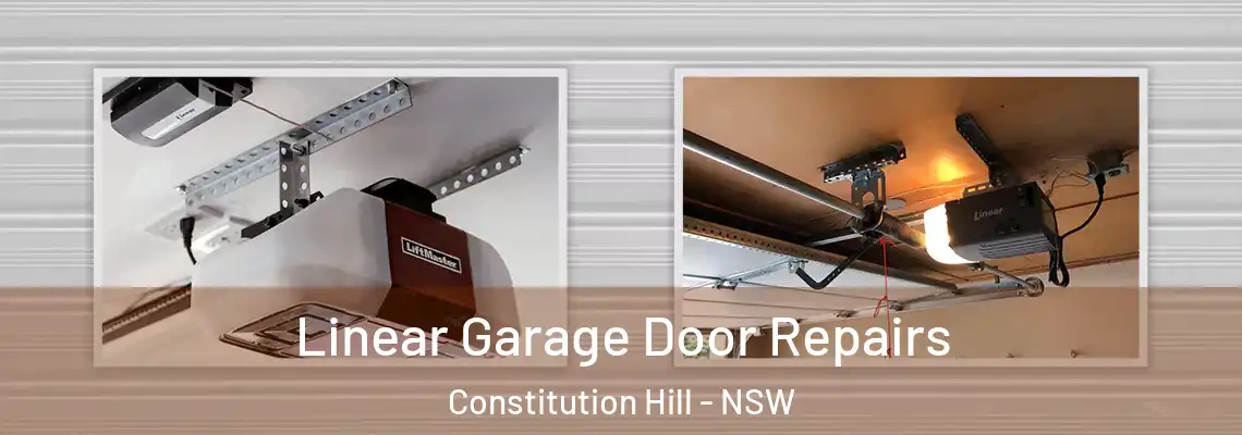  Linear Garage Door Repairs Constitution Hill - NSW