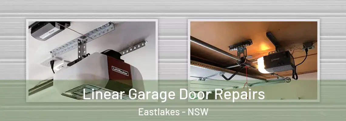  Linear Garage Door Repairs Eastlakes - NSW