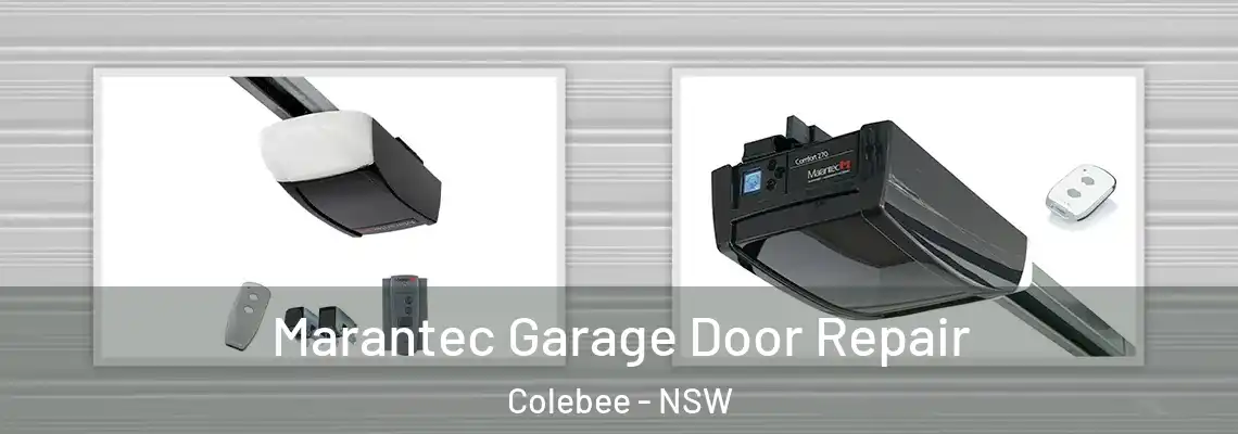  Marantec Garage Door Repair Colebee - NSW