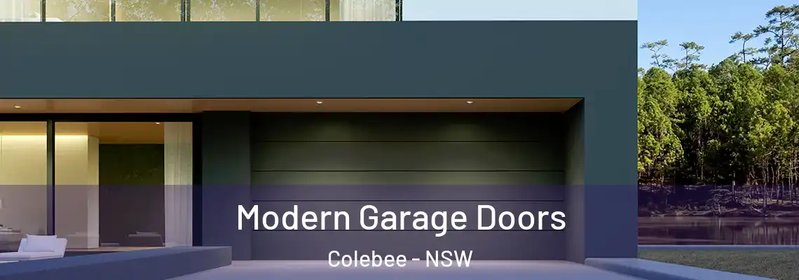  Modern Garage Doors Colebee - NSW