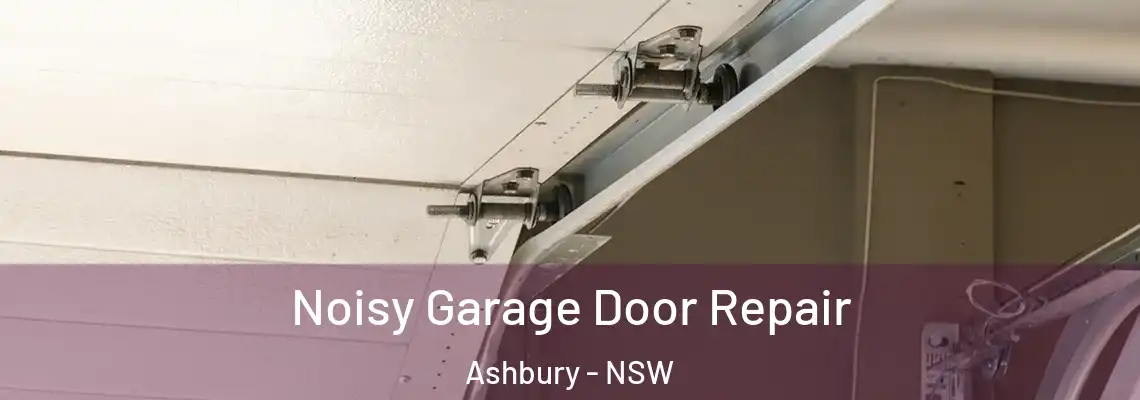  Noisy Garage Door Repair Ashbury - NSW