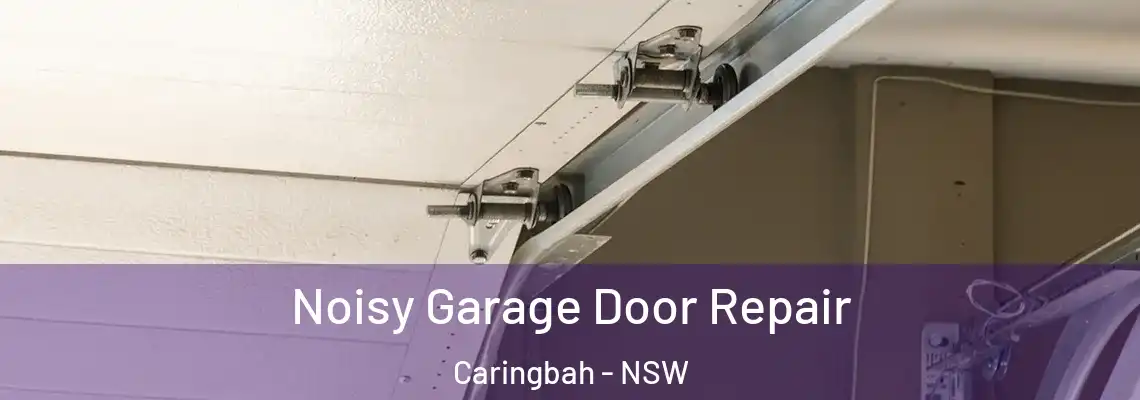  Noisy Garage Door Repair Caringbah - NSW