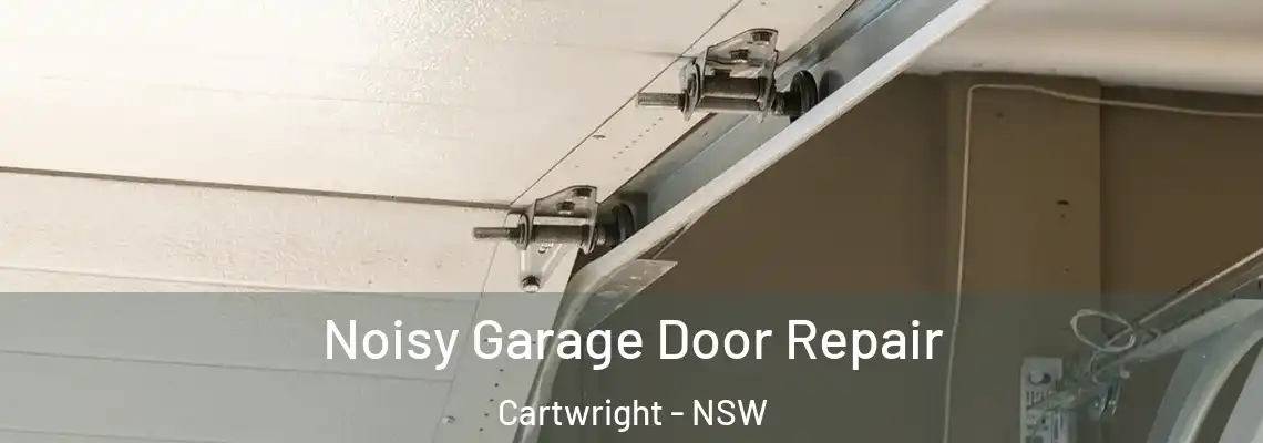  Noisy Garage Door Repair Cartwright - NSW